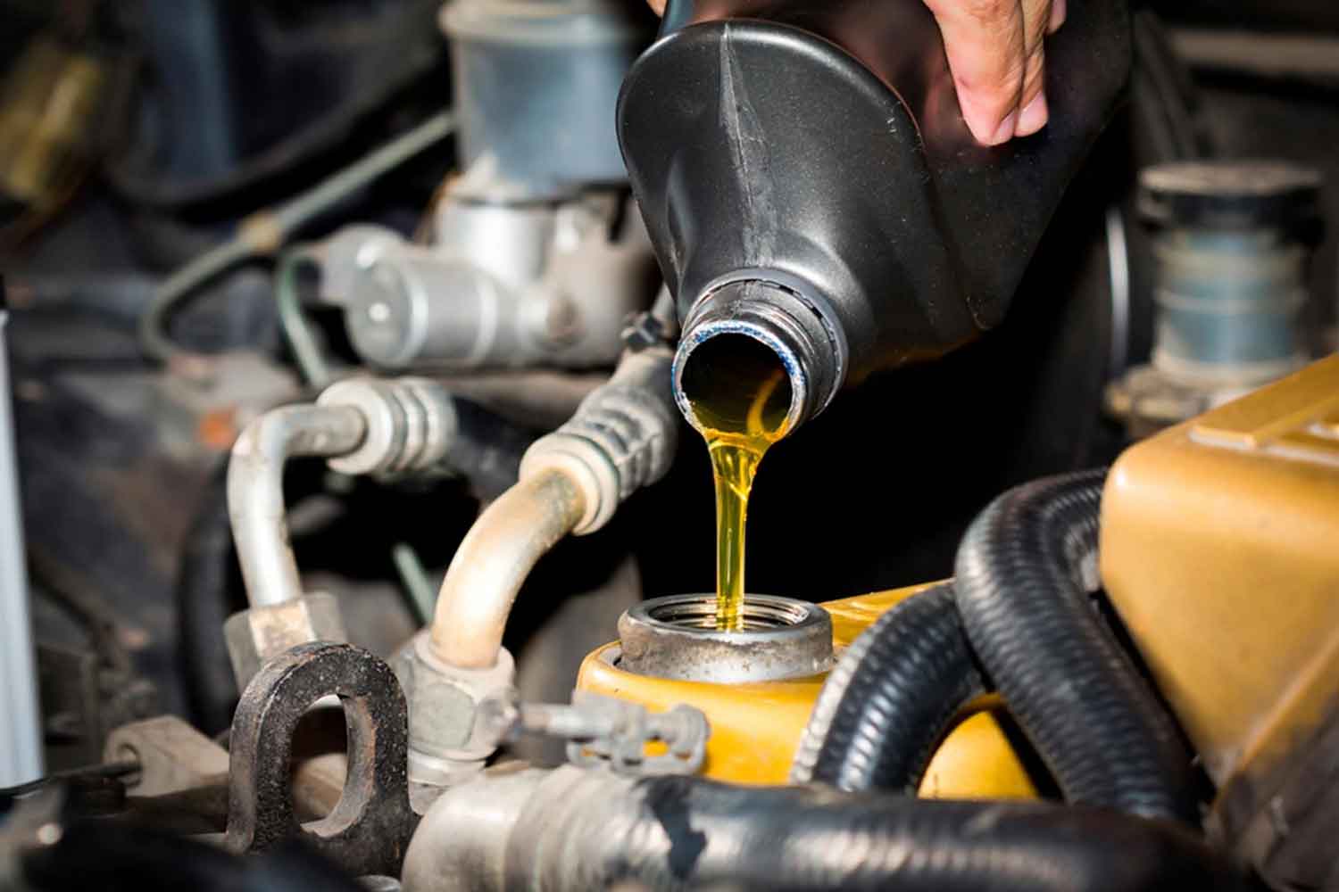 oil-change-in-calgary-synthetic-oil-change-near-me